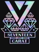 KPOP Boys Sweatshirt – Unisex Casual Concert Pullover for Men & Women with Letter Print