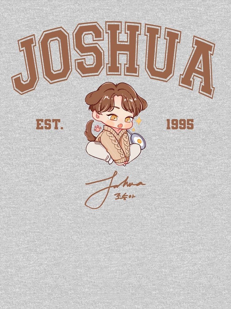 SEVENTEEN Sweatshirt for Carats – Premium KPOP Merch – Design #002 - Image 3
