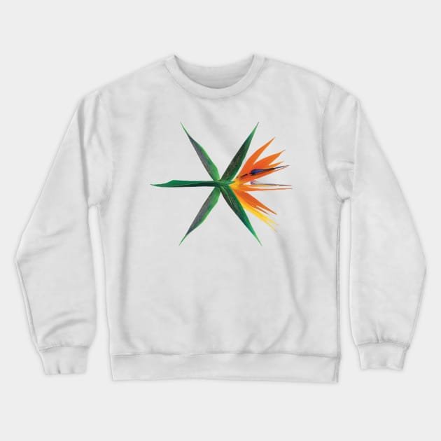 EXO sweatshirt Design #007 – K-pop merch UAE