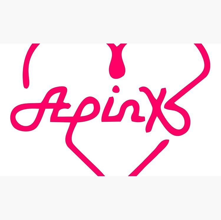APINK Coffee Mug – KPOP Merchandise for PANDA Fans - Image 2