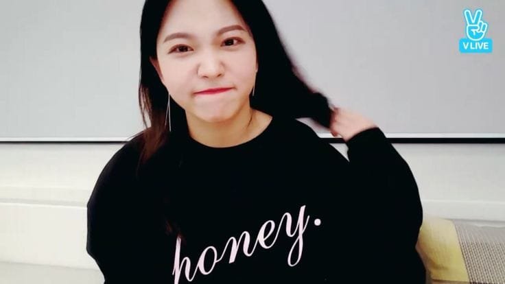 Red Velvet Sweatshirt for ReVeluvs – Premium KPOP Merch – Design #005 - Image 3